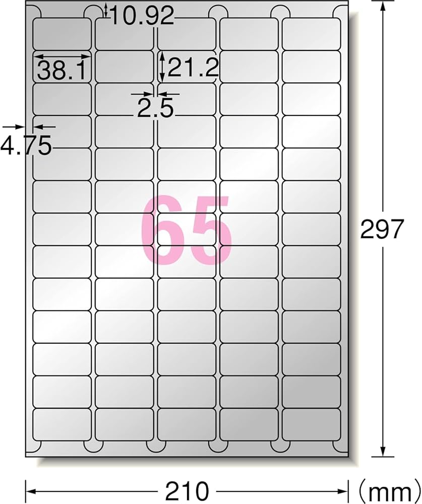 Amazon | エーワン 屋外でも使えるラベル シルバーツヤ消し 65面 5